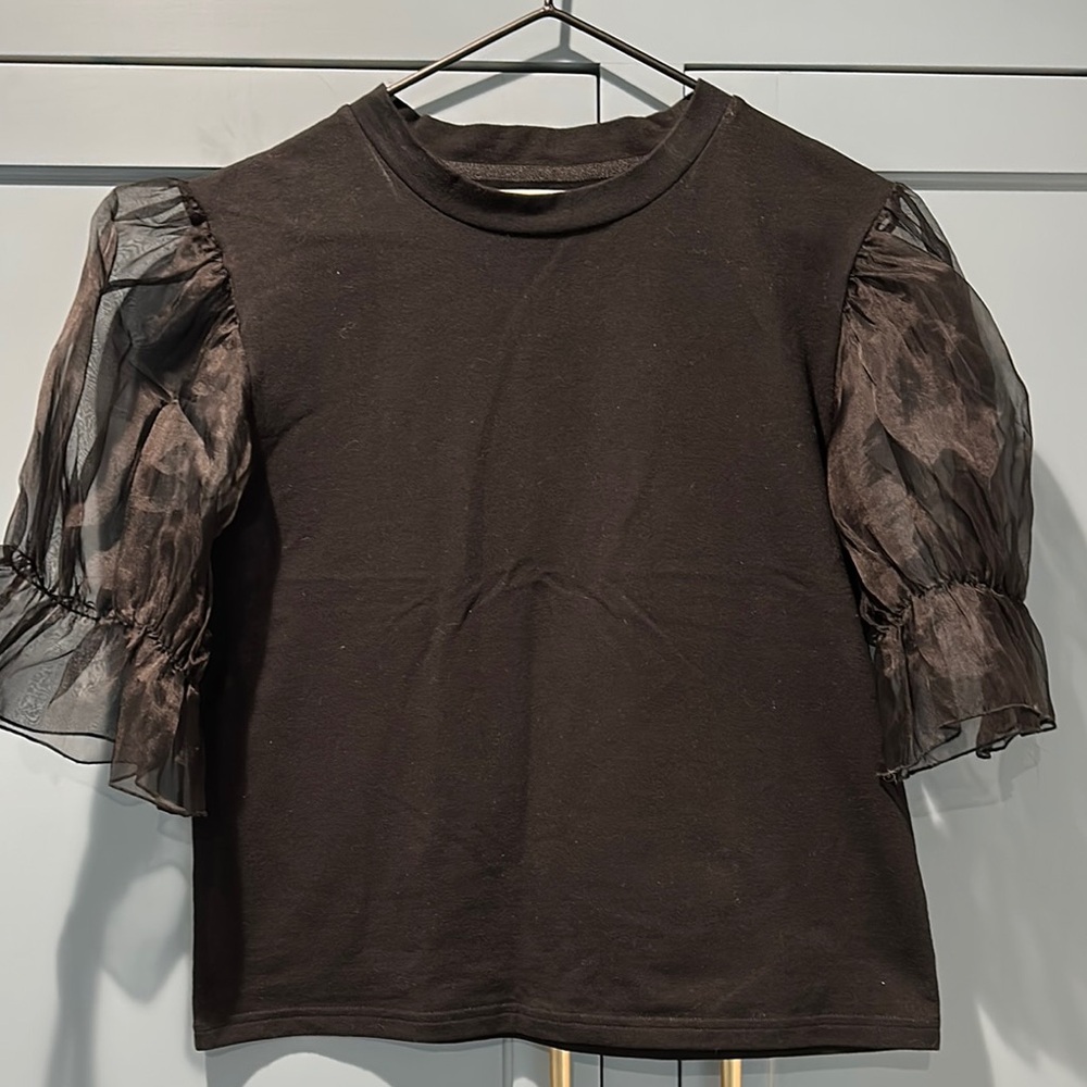 Elegant Black Sheer Sleeve Blouse